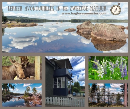 Afbeelding invoegen